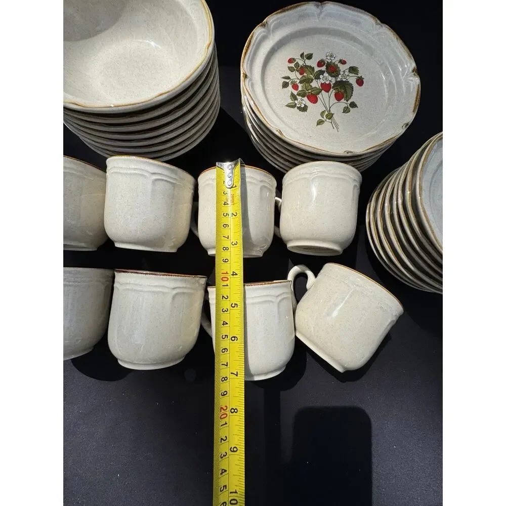 Vintage 1960’s Endura Collection LA FRAISE Strawberries Plate Bowl Saucer & Mugs